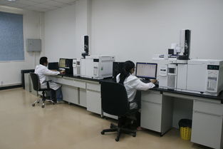 華科檢測(cè)技術(shù)服務(wù)積極捐資支持新中學(xué)建設(shè)，助力信息技術(shù)咨詢服務(wù)發(fā)展